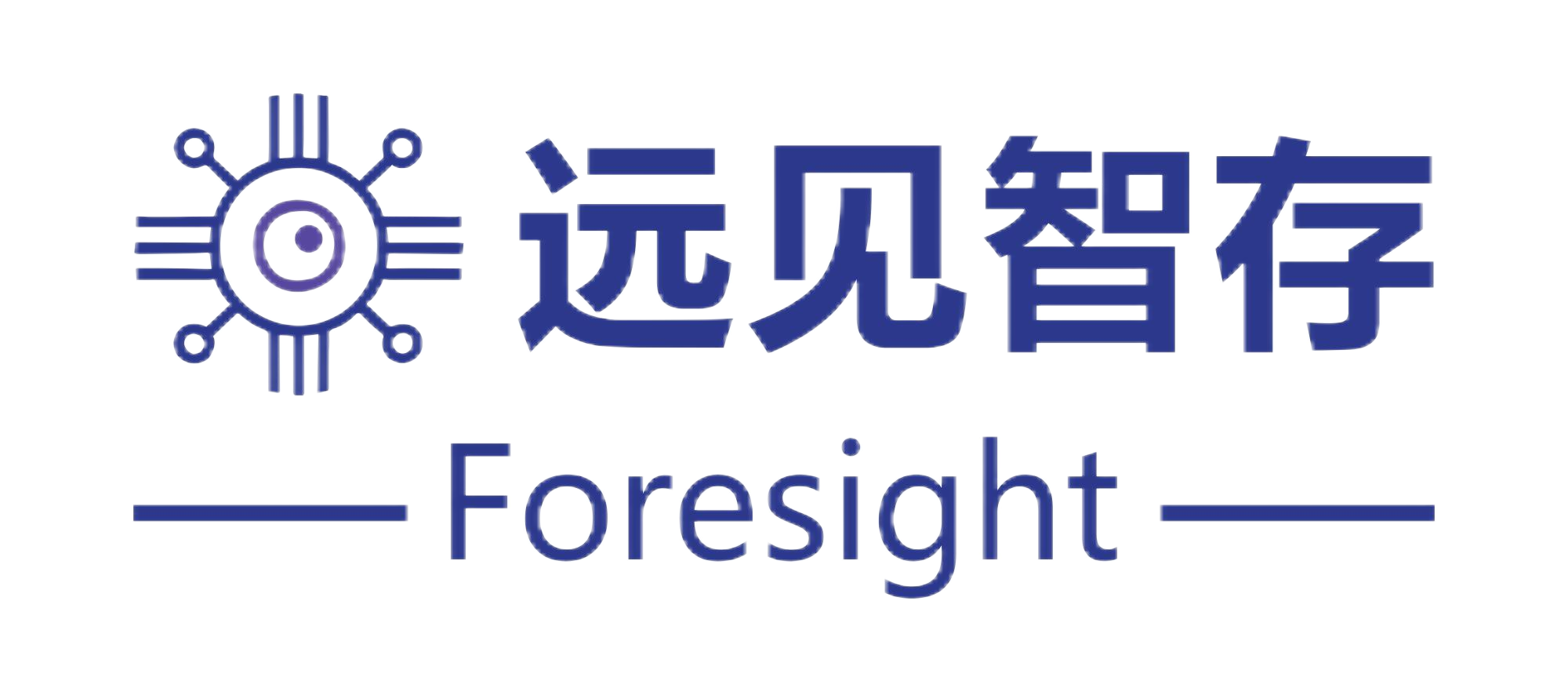 公司信息 - 远见智存